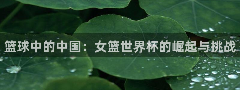 世界杯官网入口:篮球中的中国:女篮世界杯的崛起与挑战