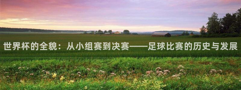 世界杯女足直播:世界杯的全貌:从小组赛到决赛——足球比赛的历史与发展