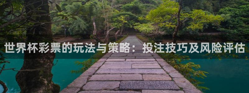 世预赛欧洲赛程表:世界杯彩票的玩法与策略:投注技巧及风险评估
