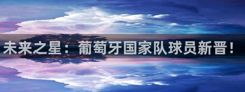 2026葡萄牙杯赛程表:未来之星:葡萄牙国家队球员新晋!