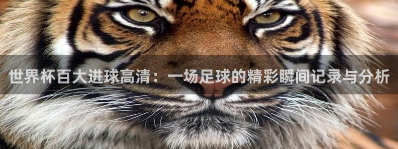 世界杯赛程表2026:世界杯百大进球高清:一场足球的精彩瞬间记录与分析