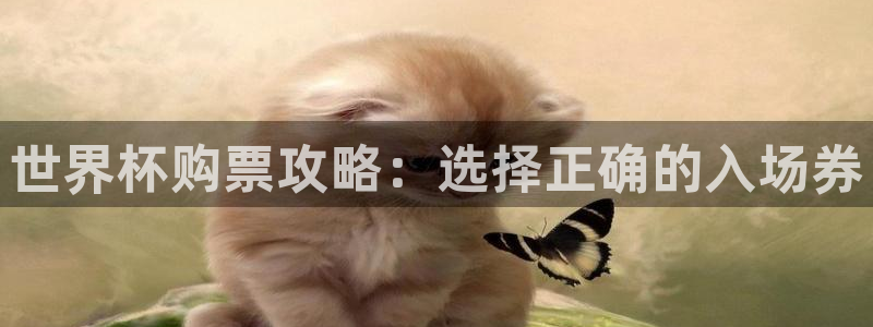 世界杯预选赛排名:世界杯购票攻略:选择正确的入场券