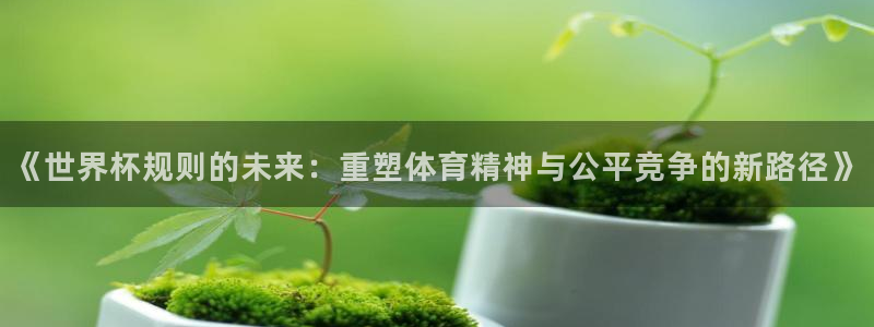 世界杯足球赛2026:《世界杯规则的未来:重塑体育精神与公平竞争的新路径》