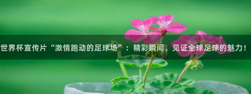 2026足球世界杯赛程时间表:世界杯宣传片“激情跑动的足球场”:精彩瞬间,见证全球足球的魅力!